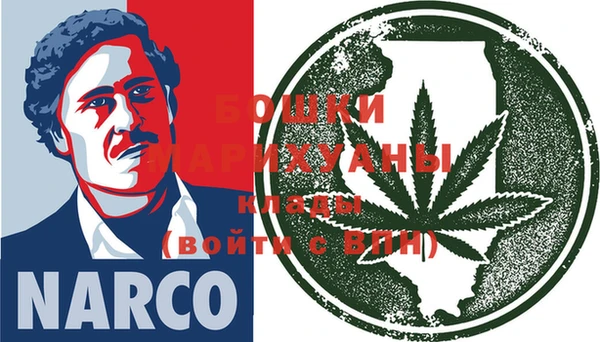 индика Аркадак