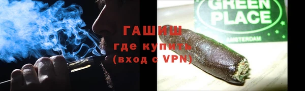 индика Аркадак