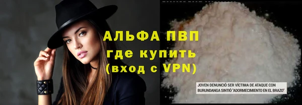 индика Аркадак