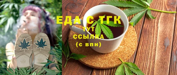 индика Аркадак