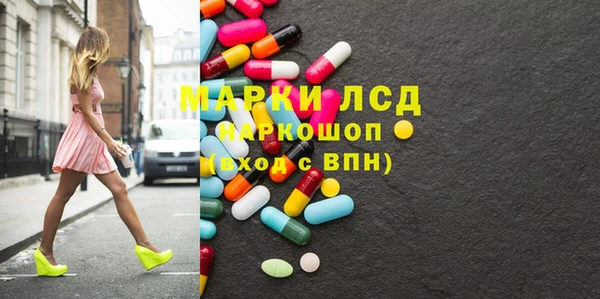 индика Аркадак
