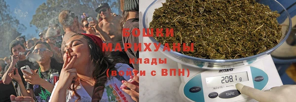 индика Аркадак