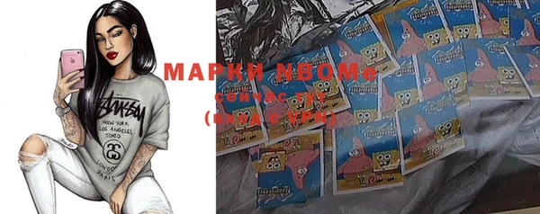 индика Аркадак