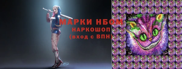 индика Аркадак